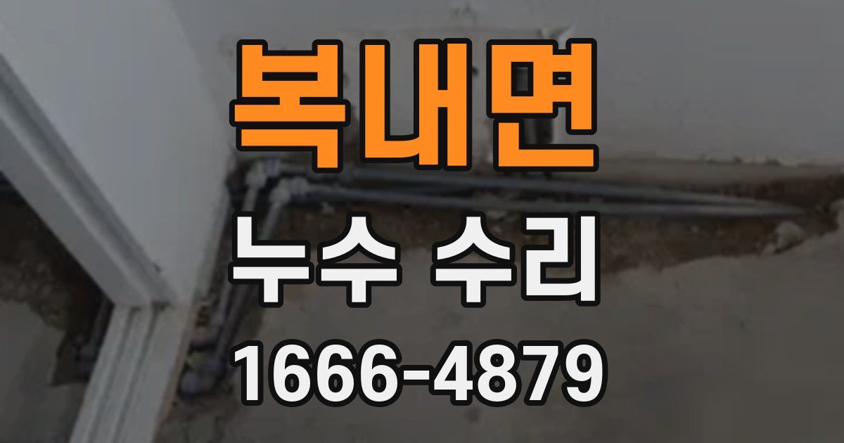 복내면 누수 수리