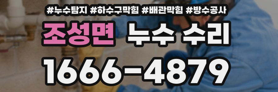 조성면 누수 수리