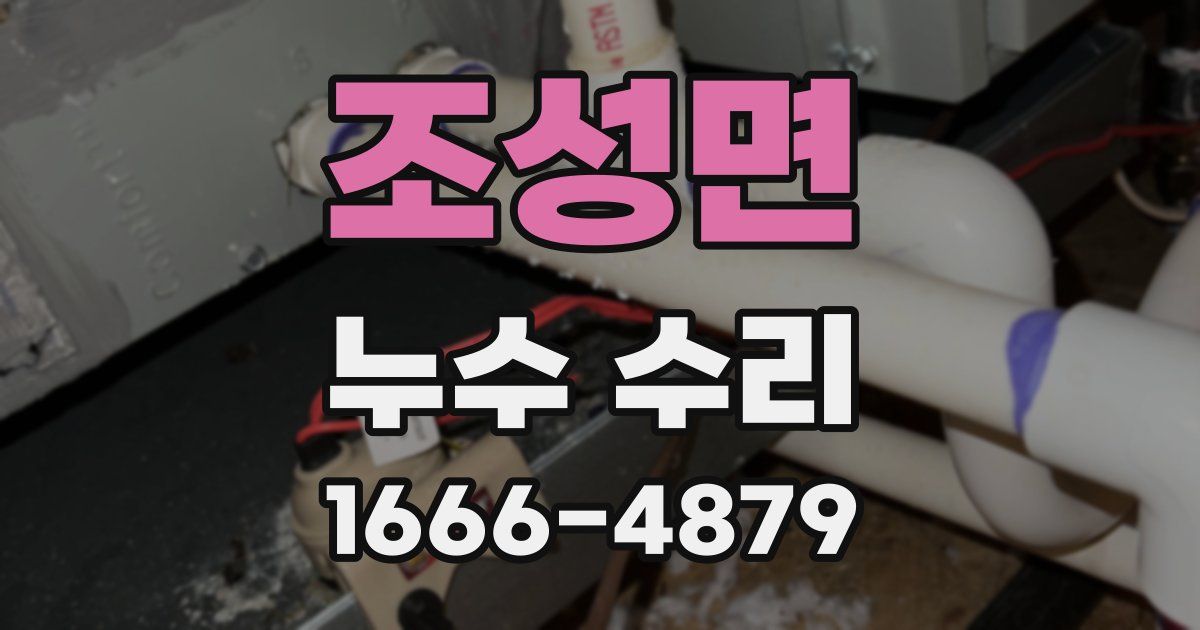조성면 누수 수리