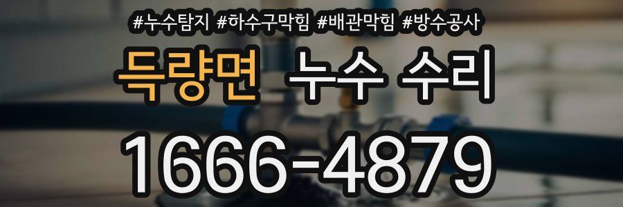 득량면 누수 수리