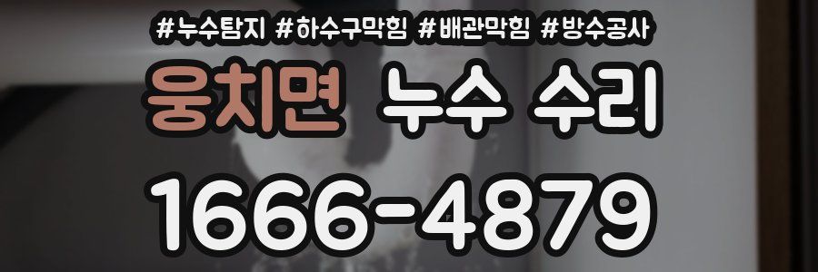 웅치면 누수 수리