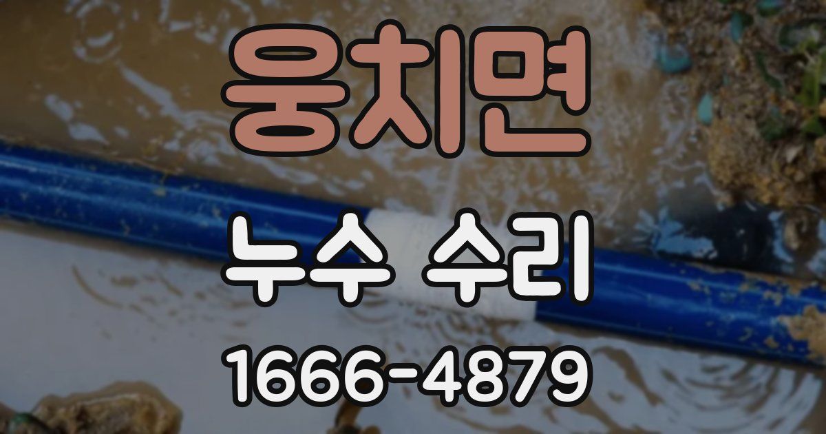 웅치면 누수 수리