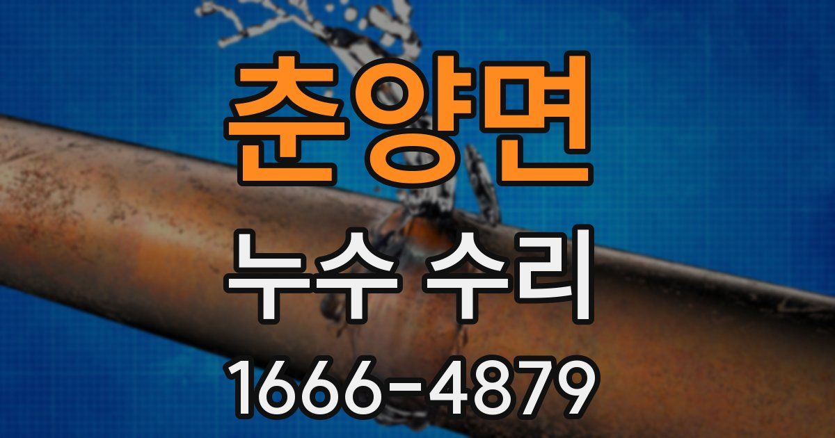 춘양면 누수 수리