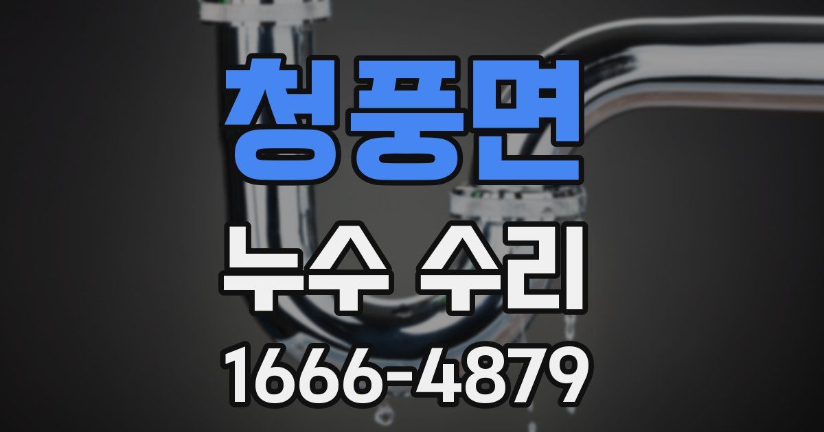 청풍면 누수 수리