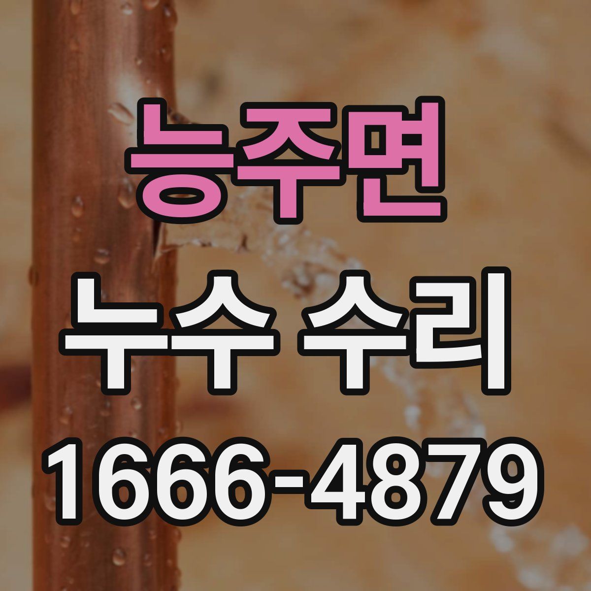 능주면 누수 수리