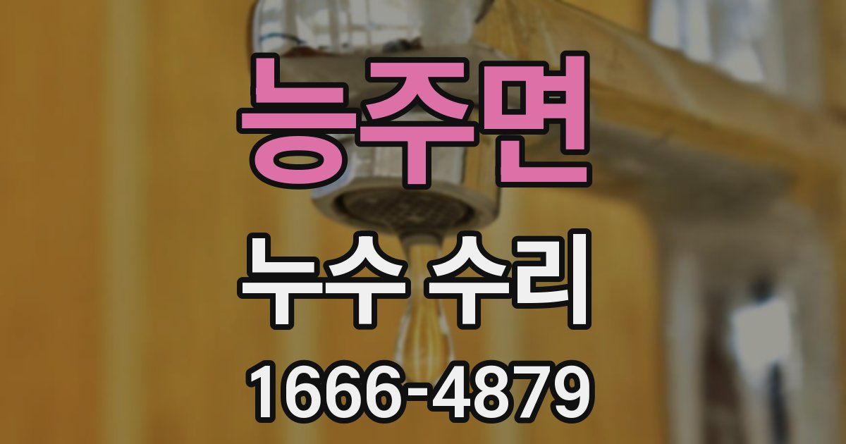 능주면 누수 수리