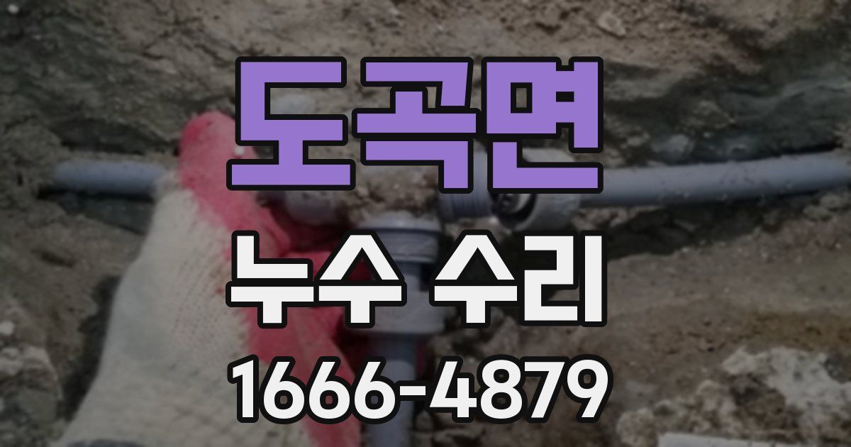 도곡면 누수 수리