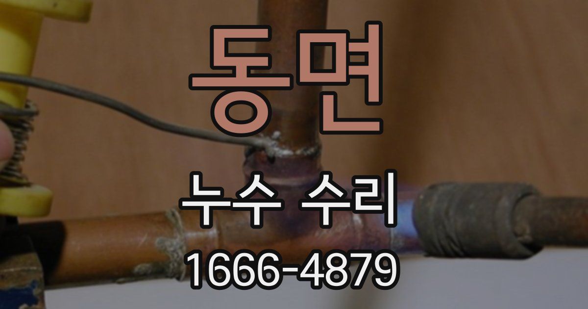 동면 누수 수리