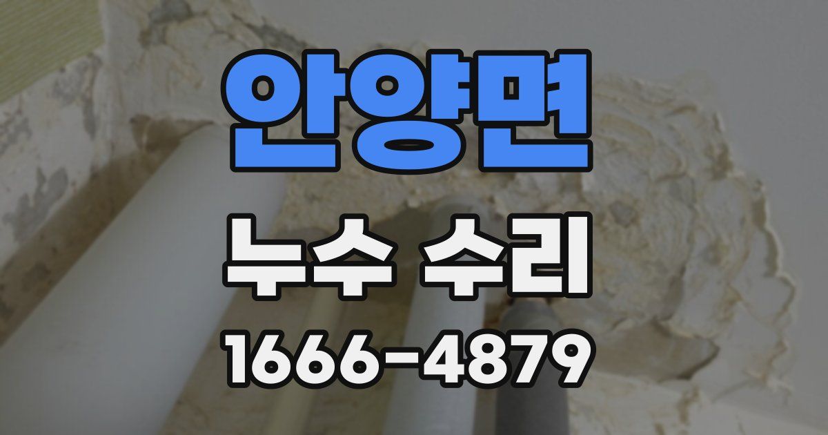 안양면 누수 수리