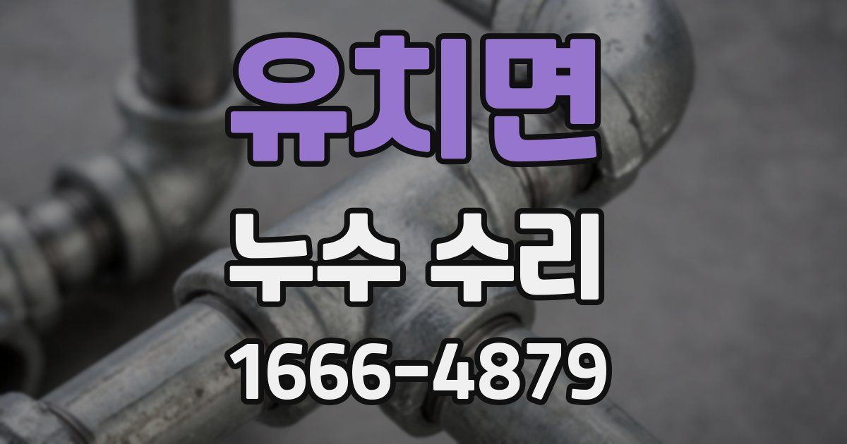 유치면 누수 수리