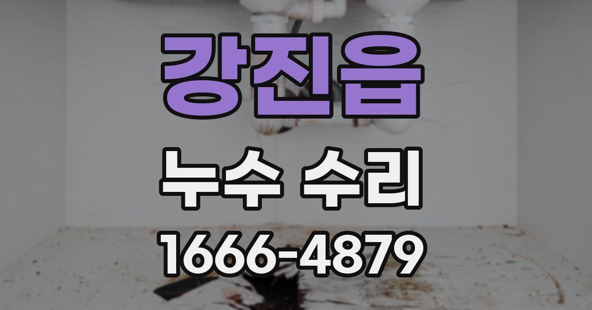 강진읍 누수 수리