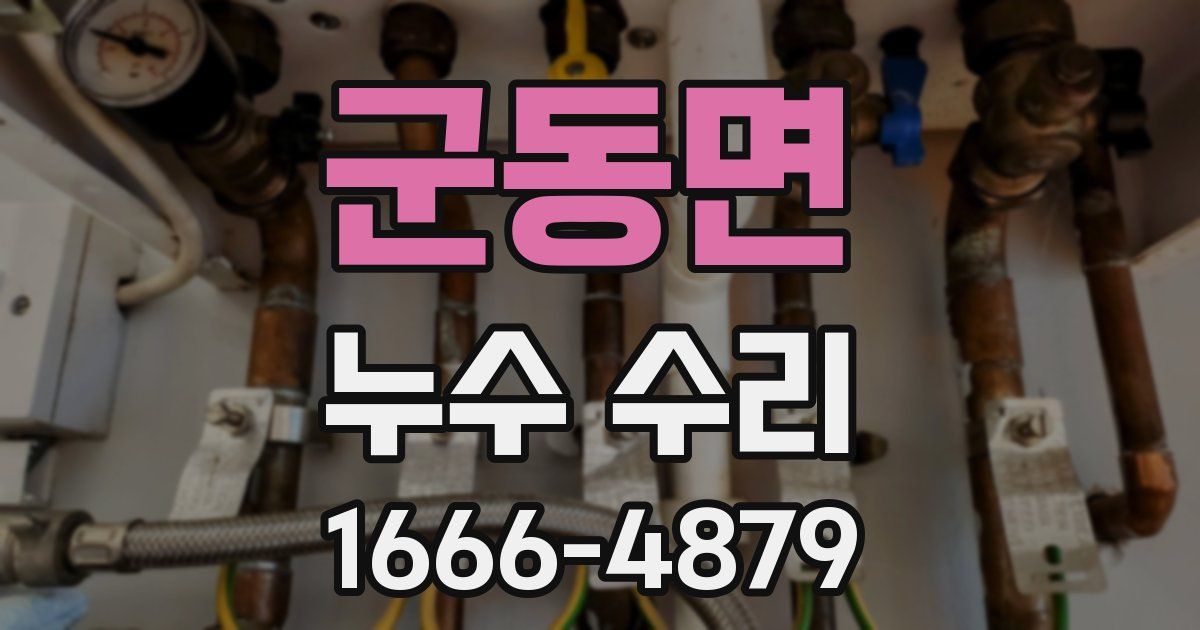 군동면 누수 수리