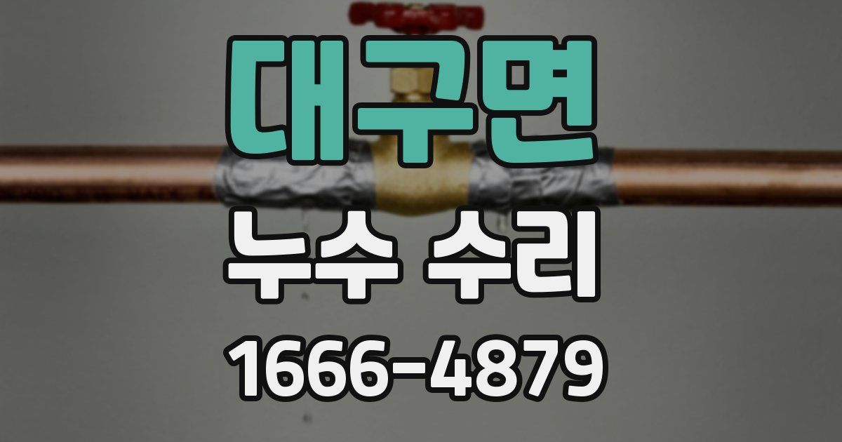 대구면 누수 수리
