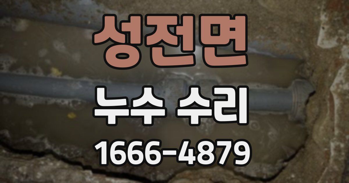 성전면 누수 수리