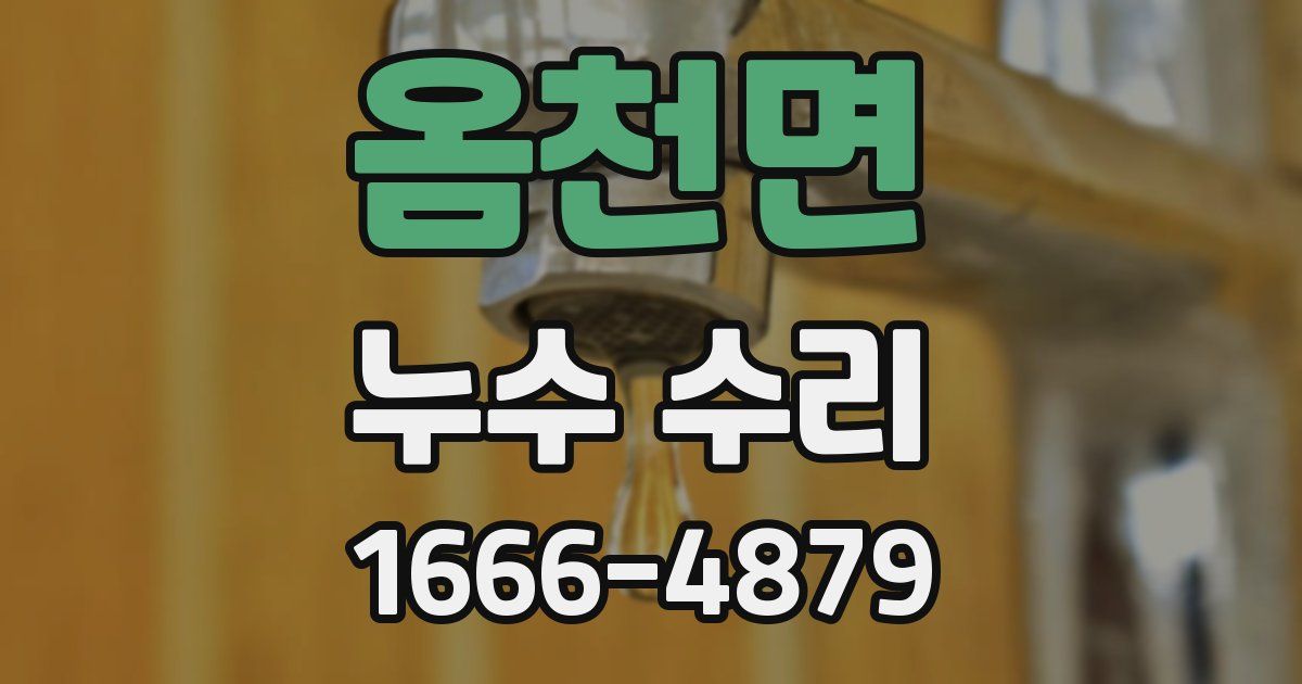 옴천면 누수 수리