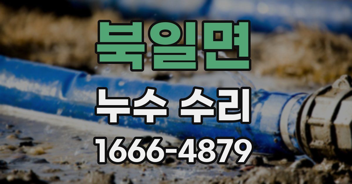 북일면 누수 수리
