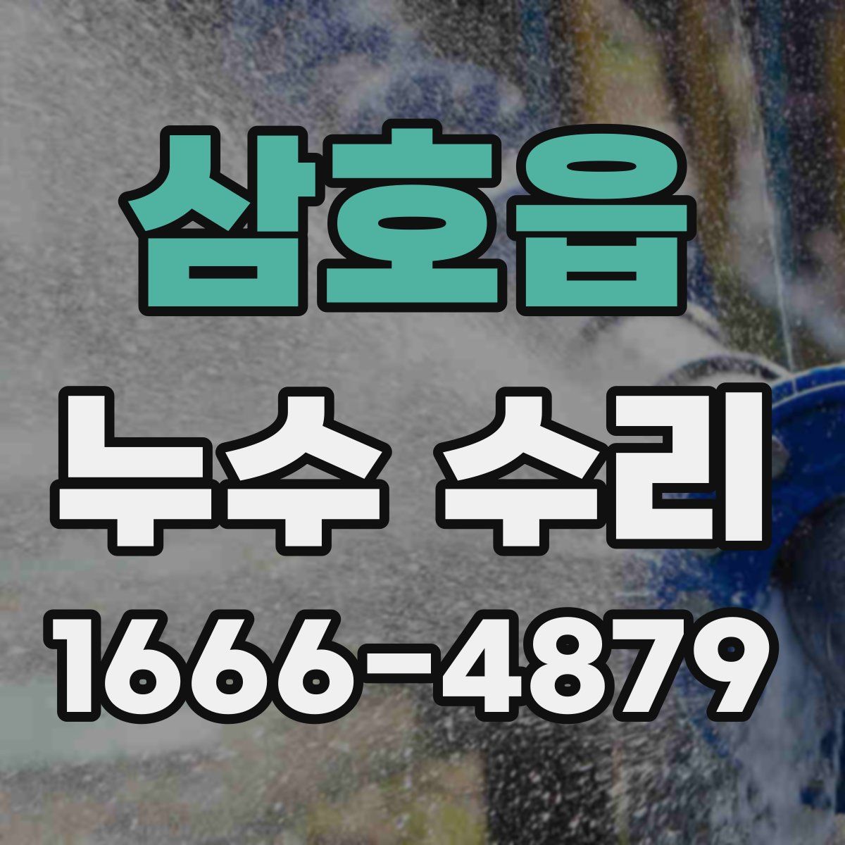 삼호읍 누수 수리