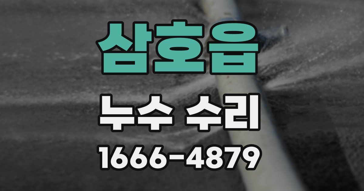 삼호읍 누수 수리