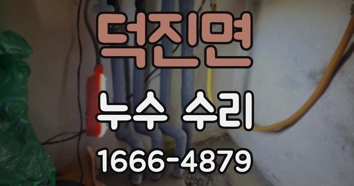 덕진면 누수 수리