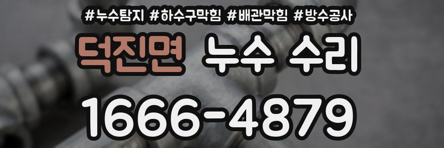 덕진면 누수 수리