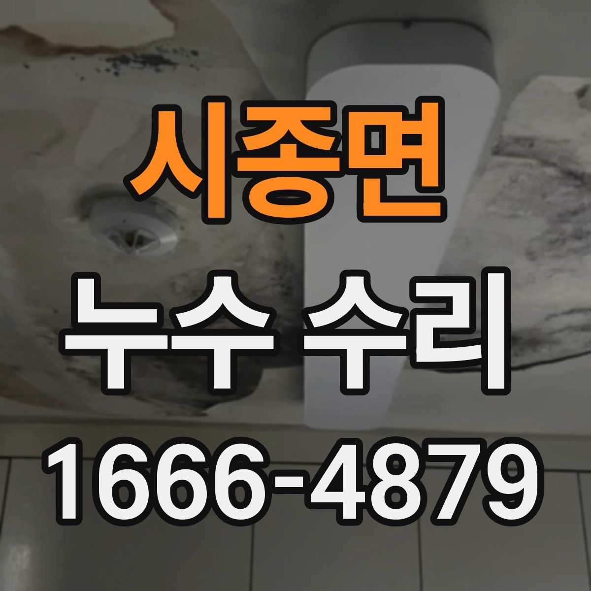 시종면 누수 수리