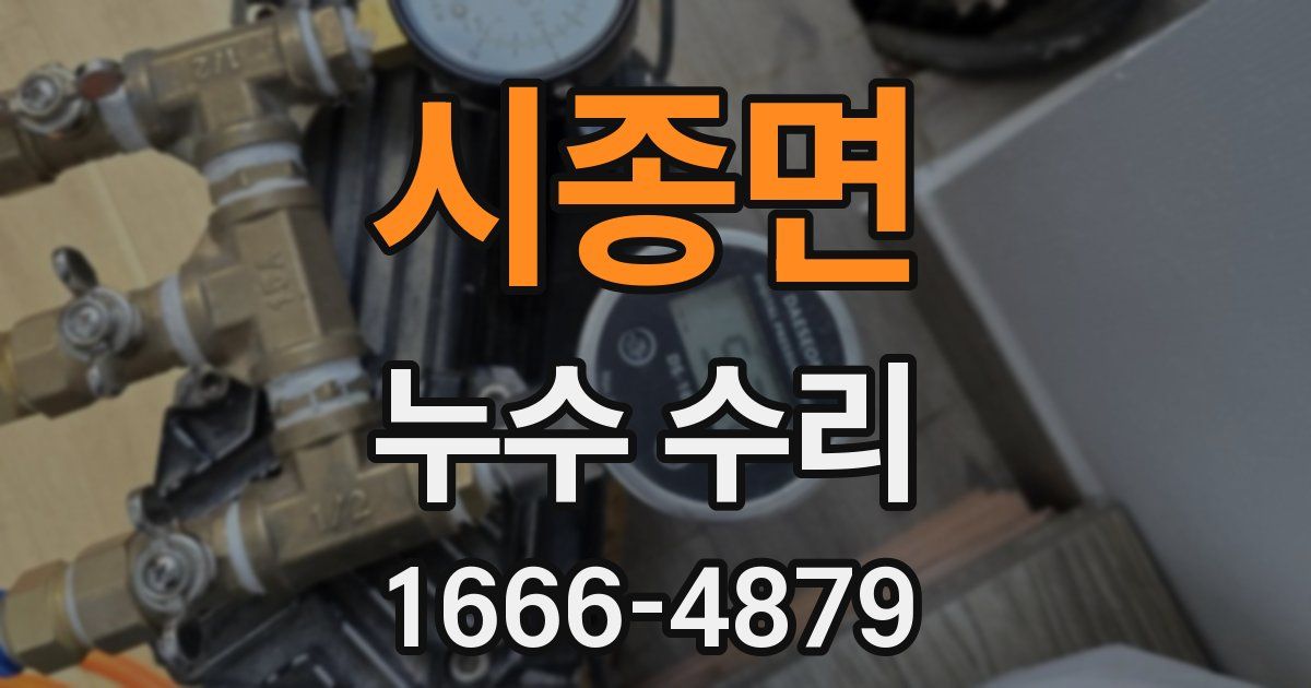 시종면 누수 수리