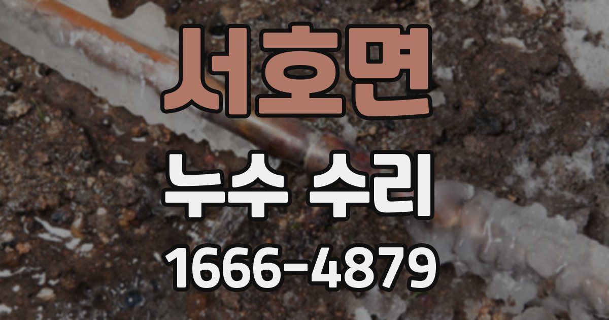 서호면 누수 수리