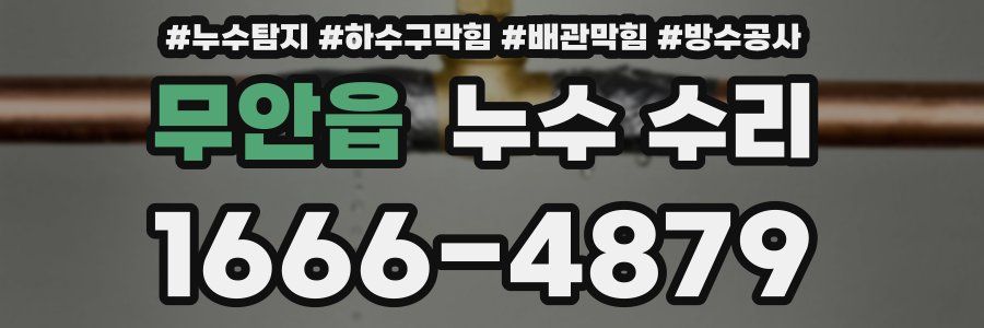 무안읍 누수 수리