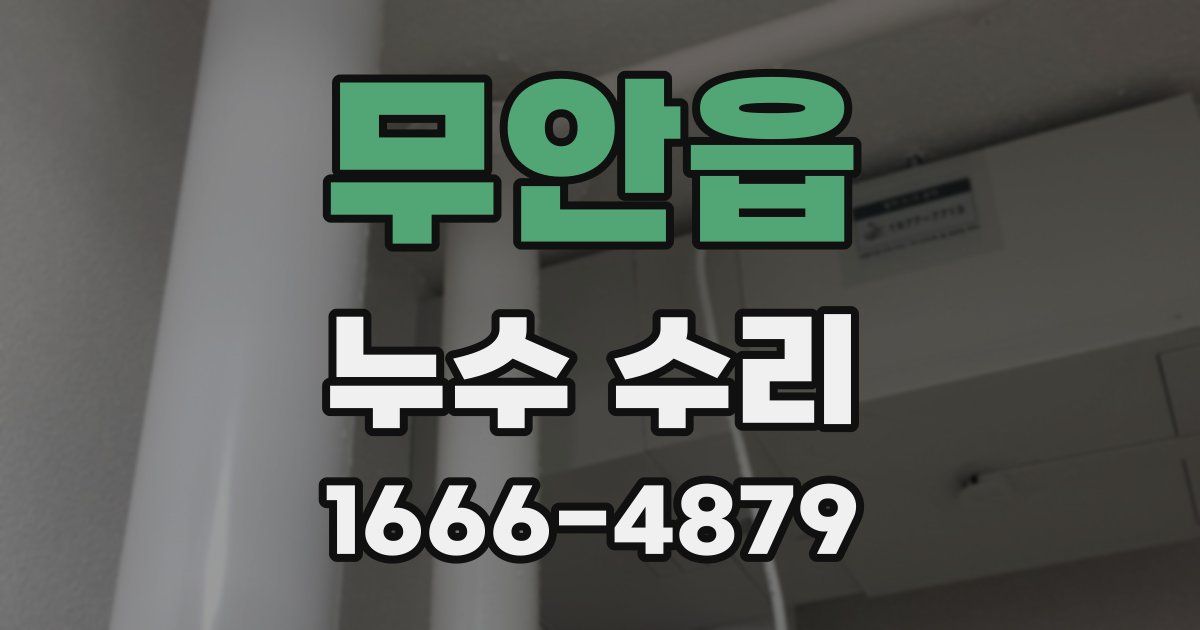무안읍 누수 수리
