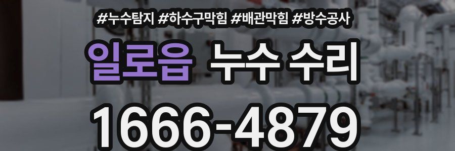 일로읍 누수 수리