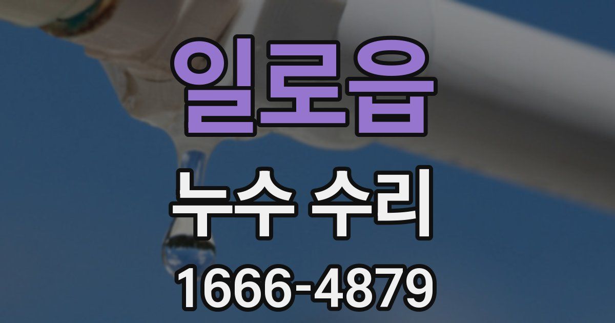 일로읍 누수 수리