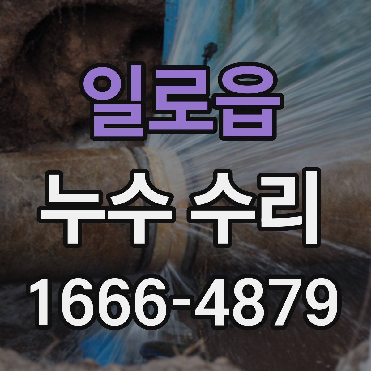 일로읍 누수 수리