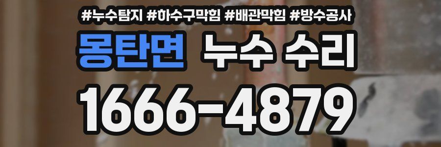 몽탄면 누수 수리