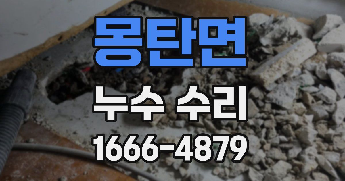 몽탄면 누수 수리