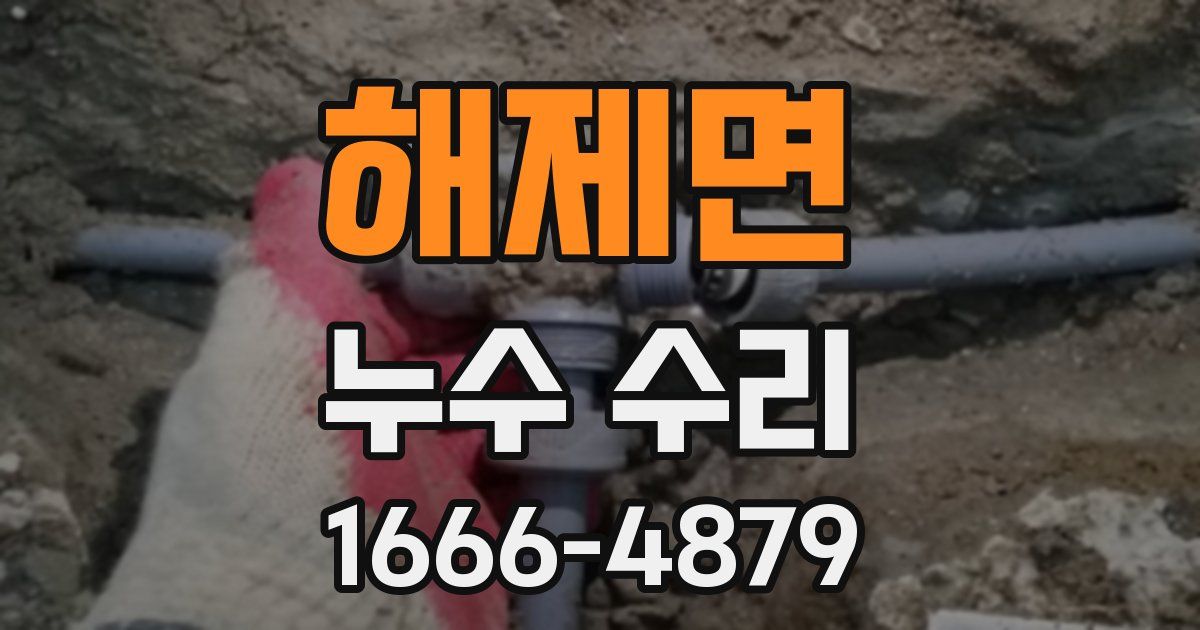 해제면 누수 수리