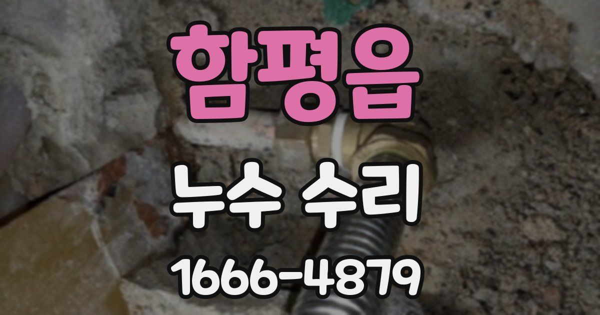 함평읍 누수 수리