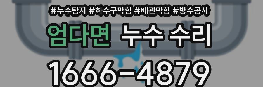 엄다면 누수 수리