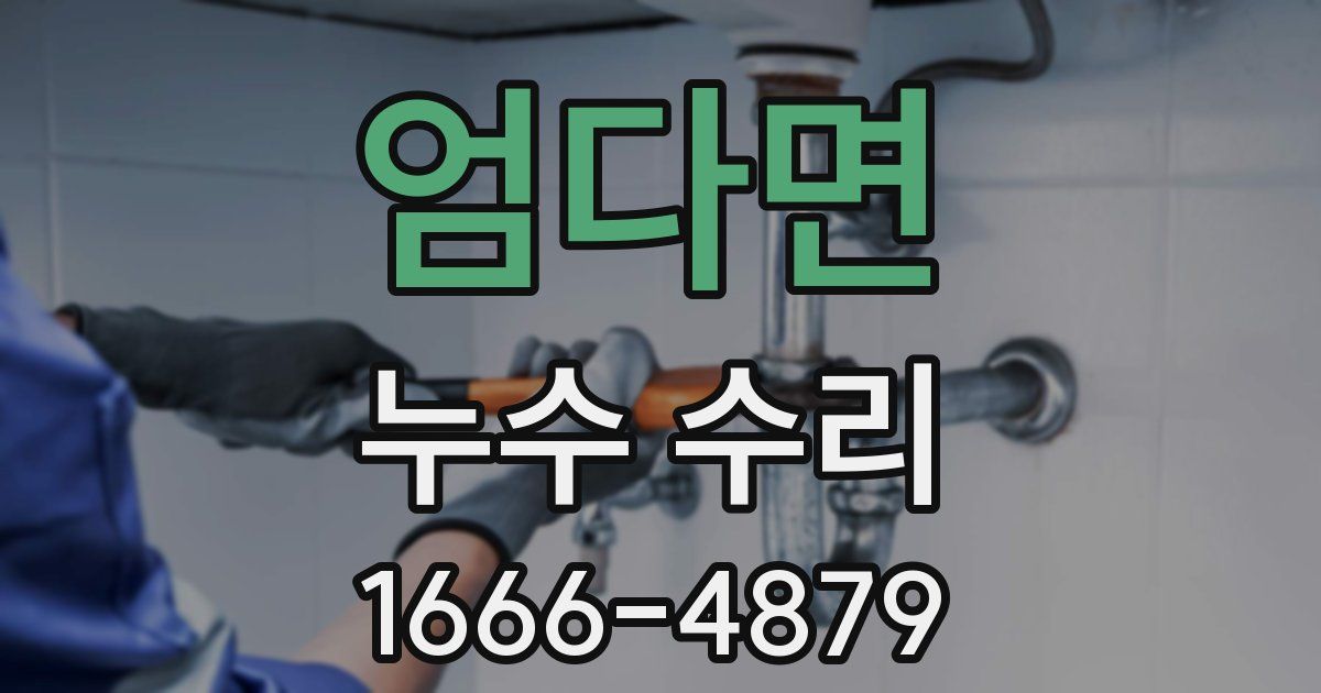 엄다면 누수 수리