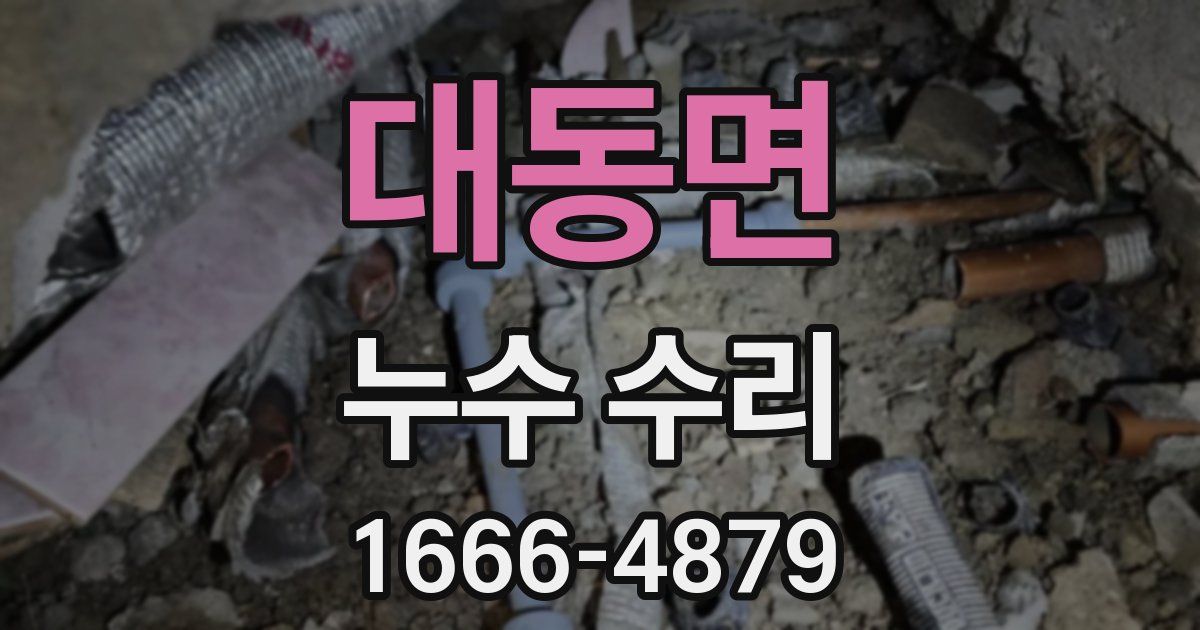 대동면 누수 수리