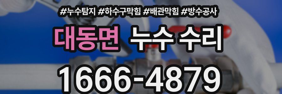 대동면 누수 수리
