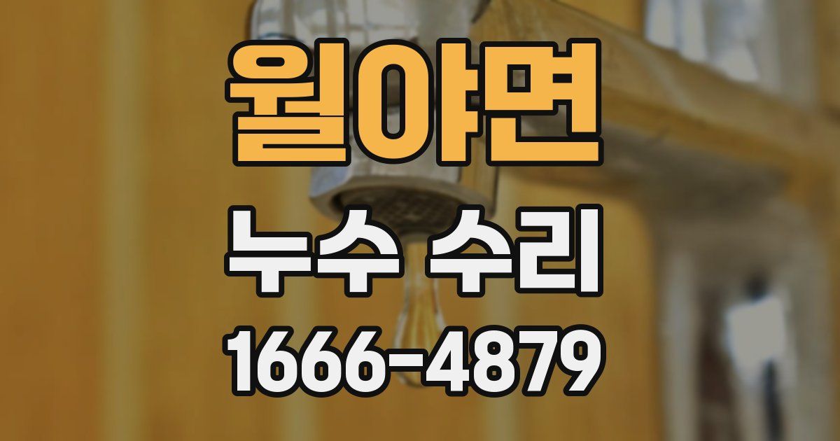 월야면 누수 수리