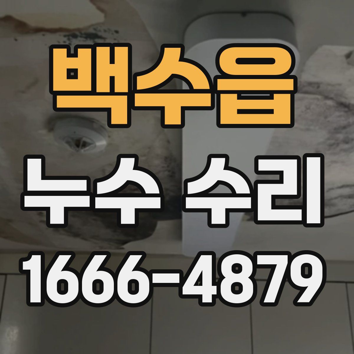 백수읍 누수 수리