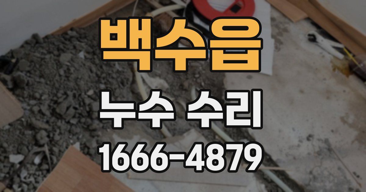 백수읍 누수 수리