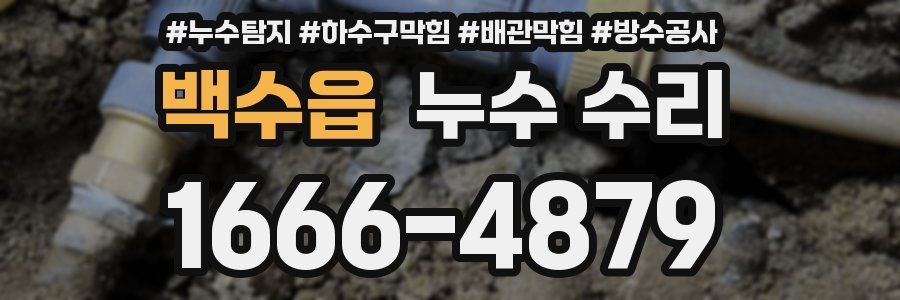 백수읍 누수 수리