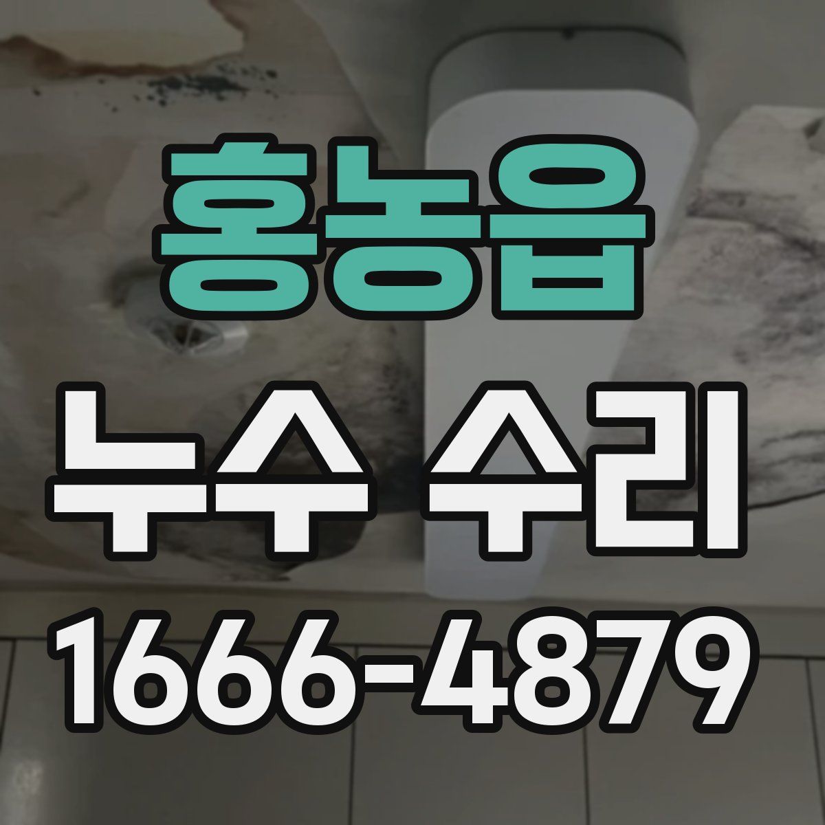 홍농읍 누수 수리
