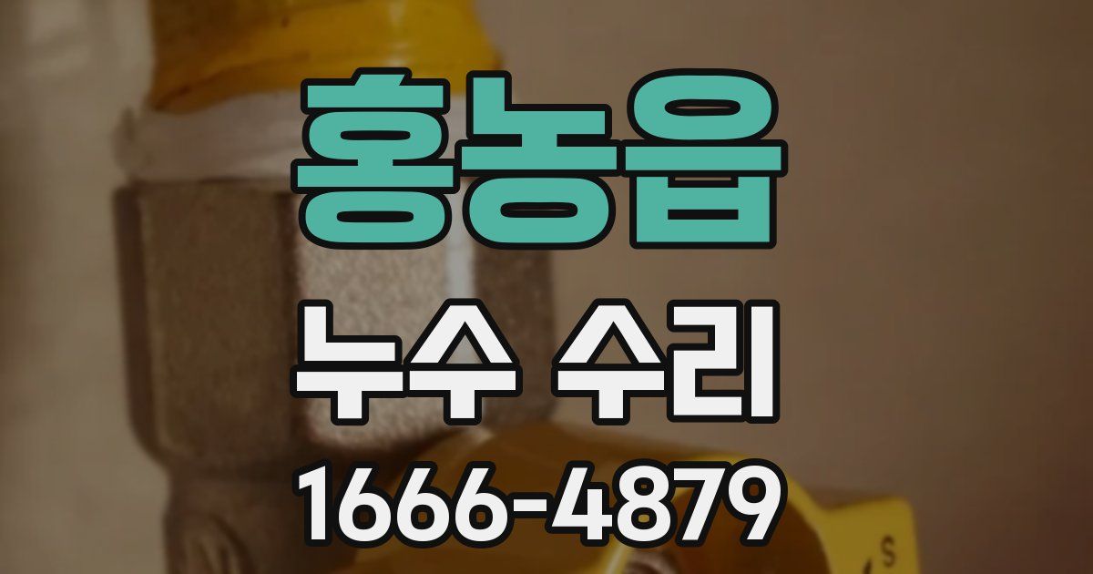 홍농읍 누수 수리
