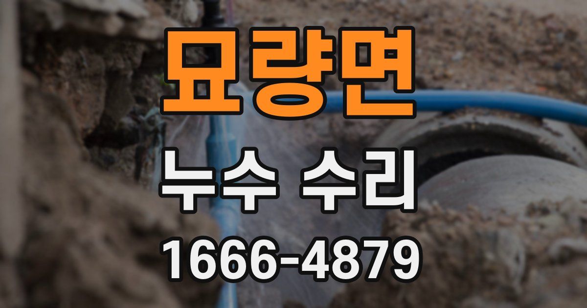 묘량면 누수 수리