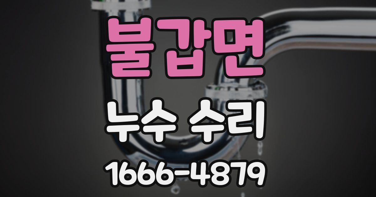 불갑면 누수 수리