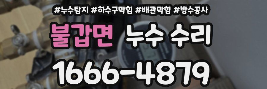 불갑면 누수 수리