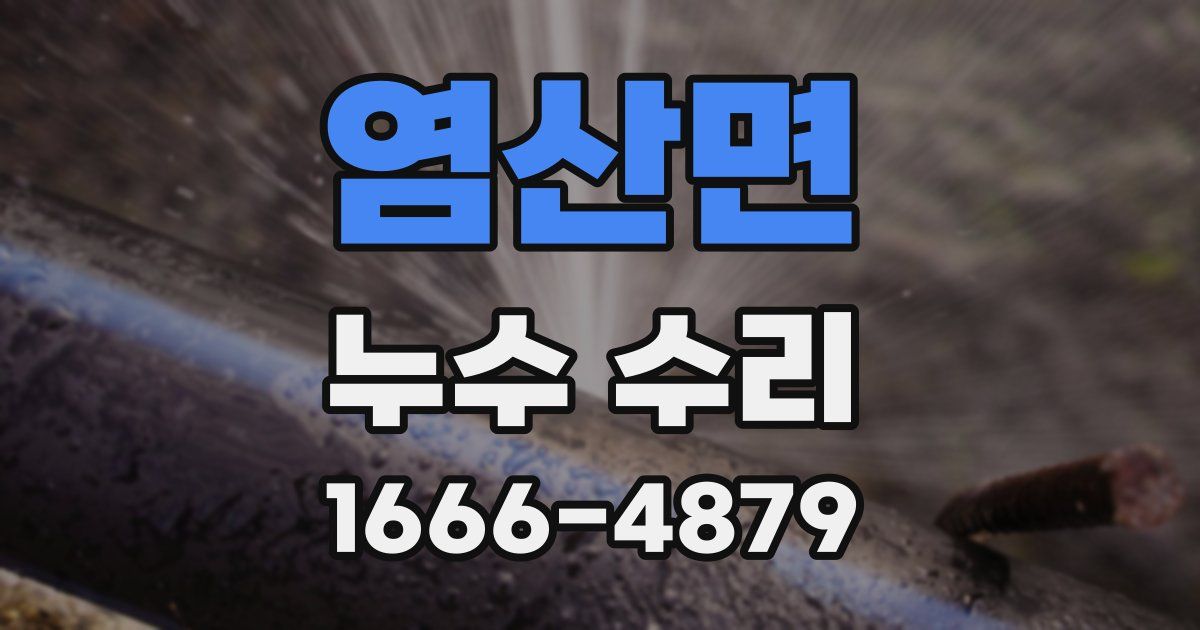 염산면 누수 수리